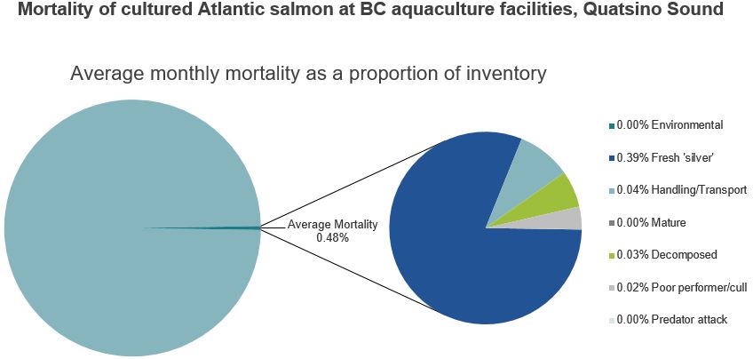Mortality of cultured Atlantic salmon at BC aquaculture facilities, Quatsino Sound