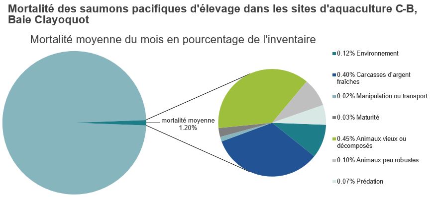 Mortalité des saumons pacifiques d'élevage dans les sites d'aquaculture C-B, Baie Clayoquot