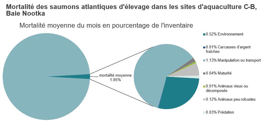 Mortalité des saumons atlantiques d'élevage dans les sites d'aquaculture C-B, Baie Nootka