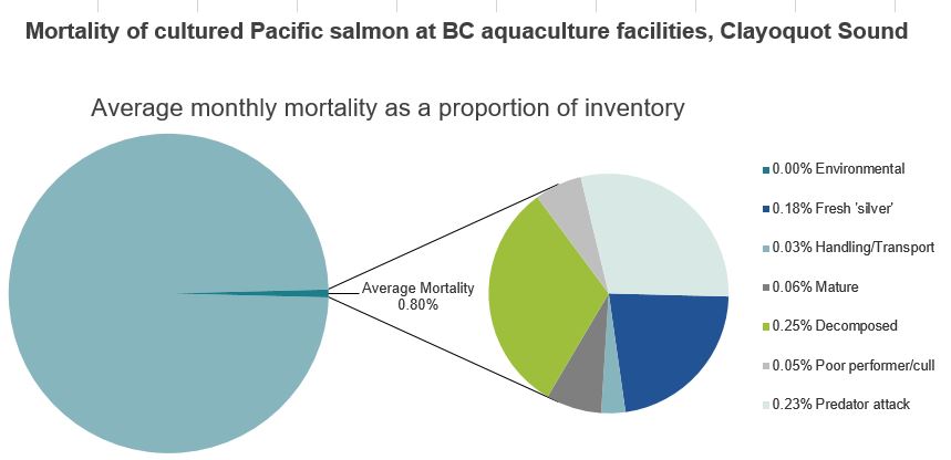 Mortality of cultured Pacific salmon at BC aquaculture facilities, Clayoquot Sound
