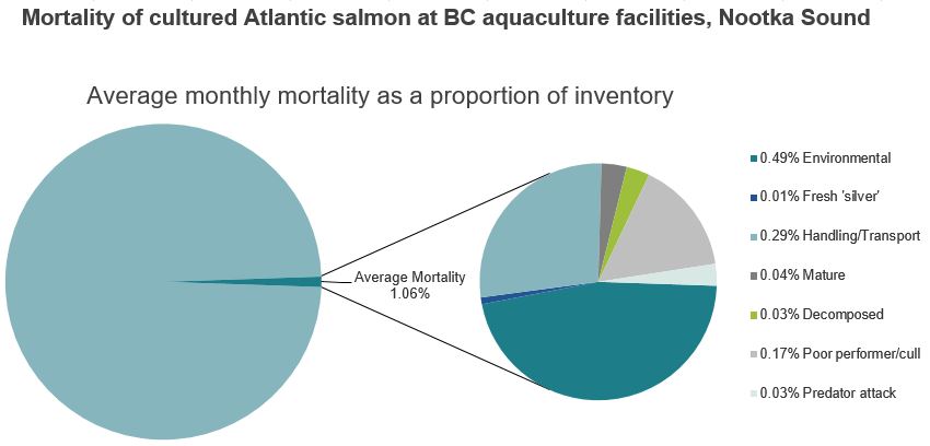 Mortality of cultured Atlantic salmon at BC aquaculture facilities, Nootka Sound