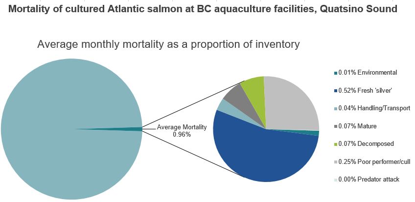 Mortality of cultured Atlantic salmon at BC aquaculture facilities, Quatsino Sound