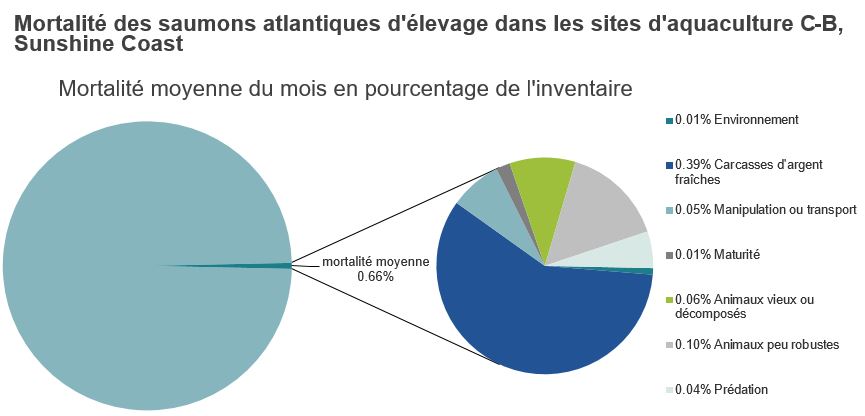 Mortalité des saumons atlantiques d'élevage dans les sites d'aquaculture C-B, Sunshine Coast