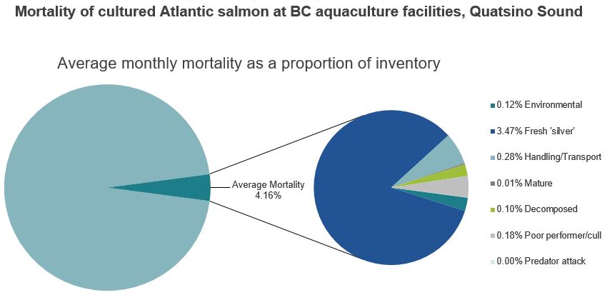 Mortality of cultured Atlantic salmon at BC aquaculture facilities, Quatsino Sound