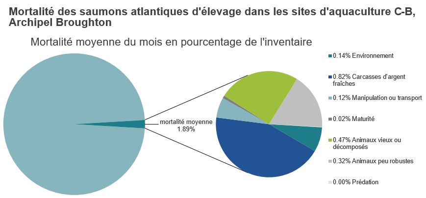Mortalité des saumons atlantiques d'élevage dans les sites d'aquaculture C-B, Baie Clayoquot