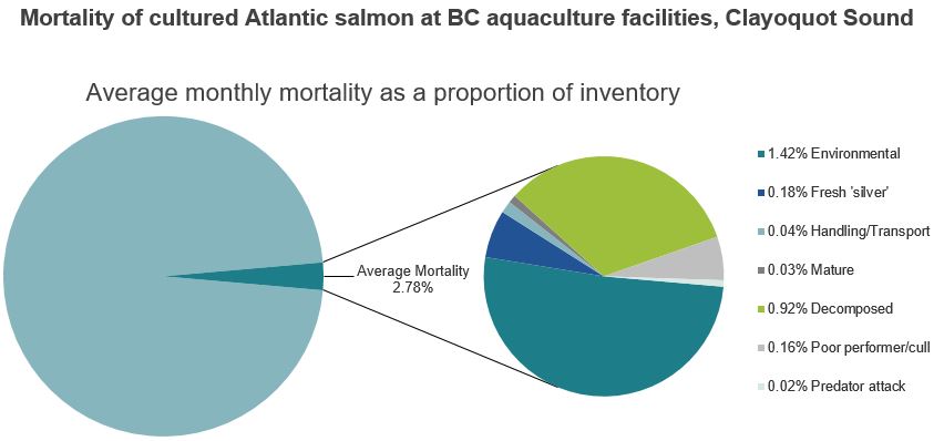 Mortality of cultured Atlantic salmon at BC aquaculture facilities, Clayoquot Sound