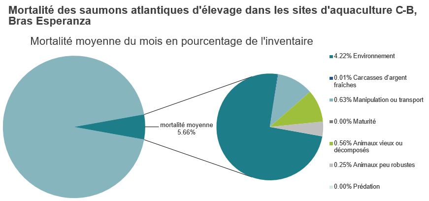Mortalité des saumons atlantiques d'élevage dans les sites d'aquaculture C-B, Bras Esperanza