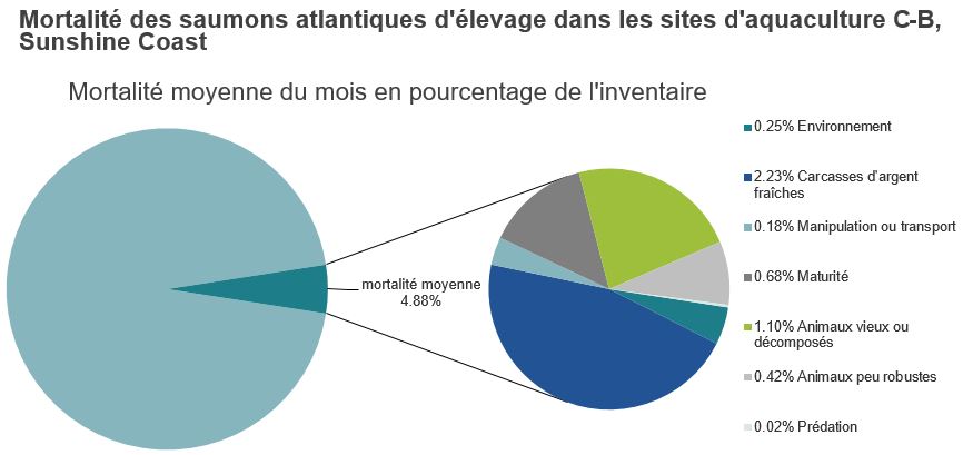 Mortalité des saumons atlantiques d'élevage dans les sites d'aquaculture C-B, Sunshine Coast