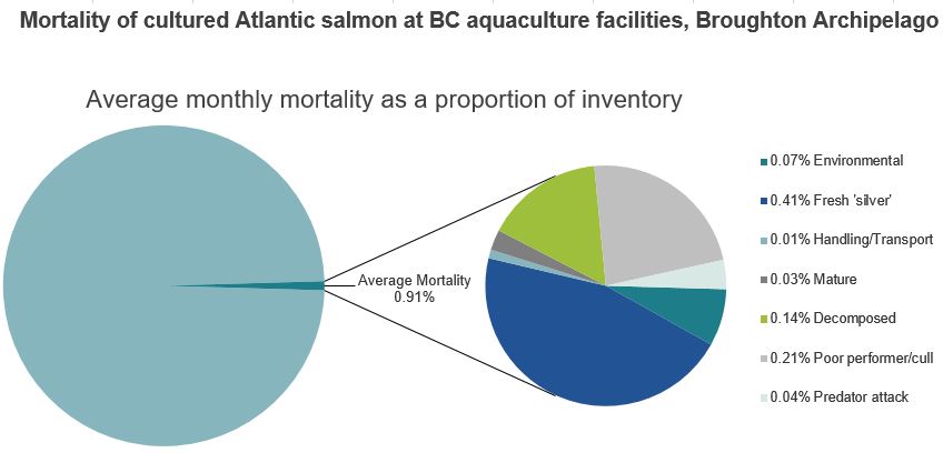 Mortality of cultured Atlantic salmon at BC aquaculture facilities, Broughton Archipelago