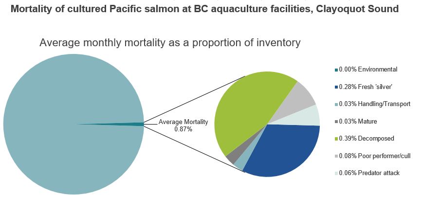 Mortality of cultured Pacific salmon at BC aquaculture facilities, Clayoquot Sound