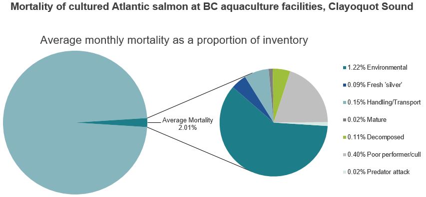Mortality of cultured Atlantic salmon at BC aquaculture facilities, Clayoquot Sound
