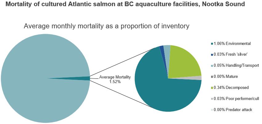 Mortality of cultured Atlantic salmon at BC aquaculture facilities, Nootka Sound