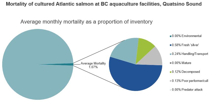 Mortality of cultured Atlantic salmon at BC aquaculture facilities, Quatsino Sound