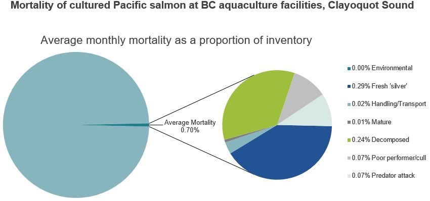 Mortality of cultured Pacific salmon at BC aquaculture facilities, Clayoquot Sound
