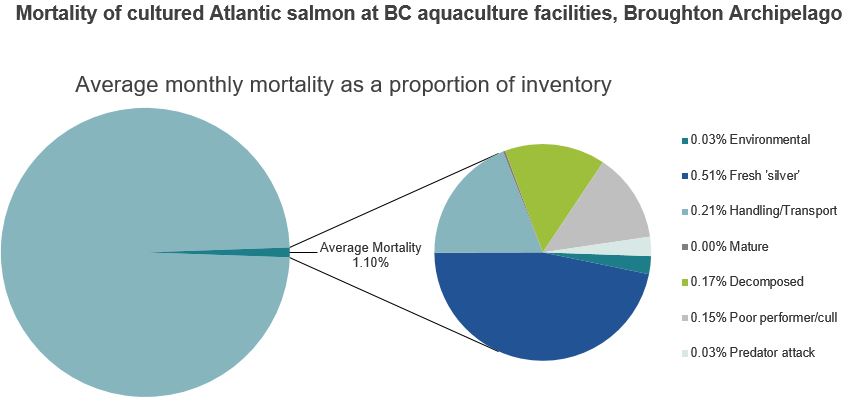 Mortality of cultured Atlantic salmon at BC aquaculture facilities, Broughton Archipelago