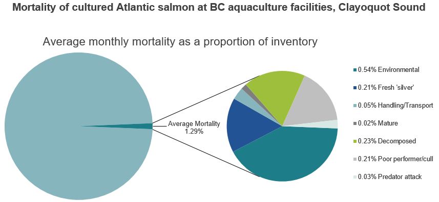 Mortality of cultured Atlantic salmon at BC aquaculture facilities, Clayoquot Sound