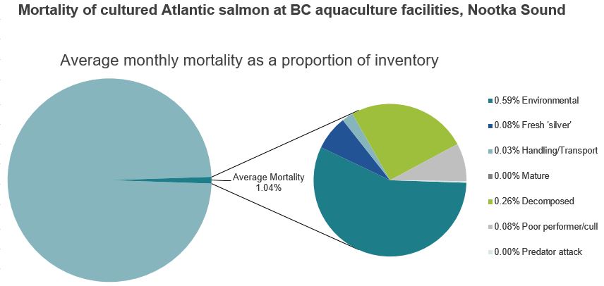 Mortality of cultured Atlantic salmon at BC aquaculture facilities, Nootka Sound