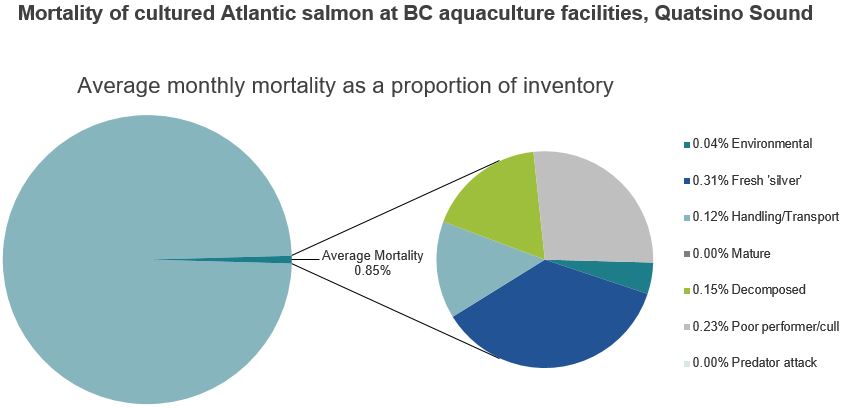 Mortality of cultured Atlantic salmon at BC aquaculture facilities, Quatsino Sound