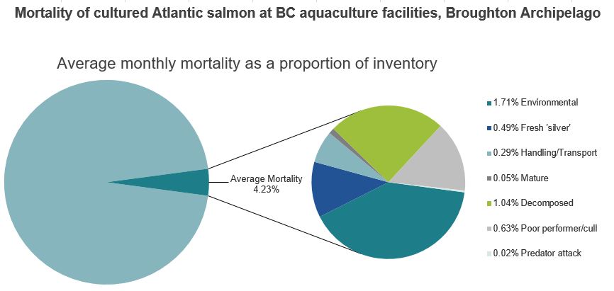Mortality of cultured Atlantic salmon at BC aquaculture facilities, Broughton Archipelago