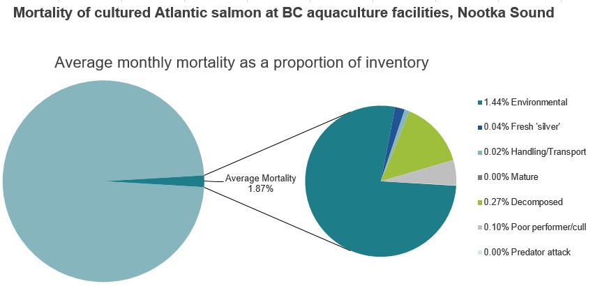 Mortality of cultured Atlantic salmon at BC aquaculture facilities, Nootka Sound