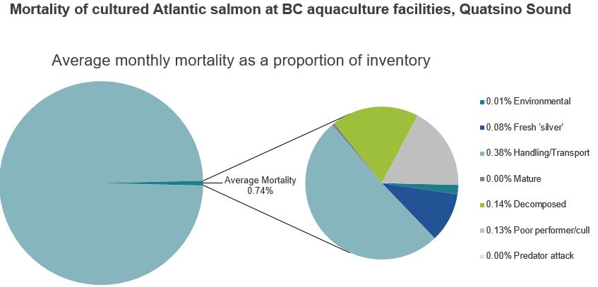 Mortality of cultured Atlantic salmon at BC aquaculture facilities, Quatsino Sound