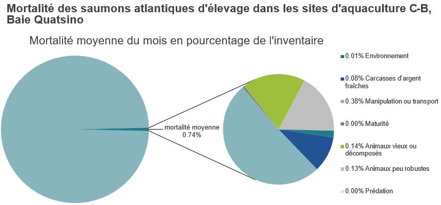 Mortalité des saumons atlantiques d'élevage dans les sites d'aquaculture C-B, Baie Quatsino