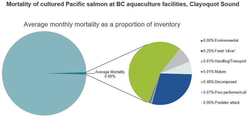 Mortality of cultured Pacific salmon at BC aquaculture facilities, Clayoquot Sound