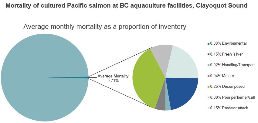 Mortality of cultured Pacific salmon at BC aquaculture facilities, Clayoquot Sound