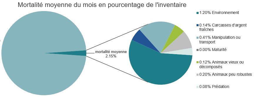 Mortalité des saumons atlantiques d'élevage dans les sites d'aquaculture C-B, Baie Clayoquot
