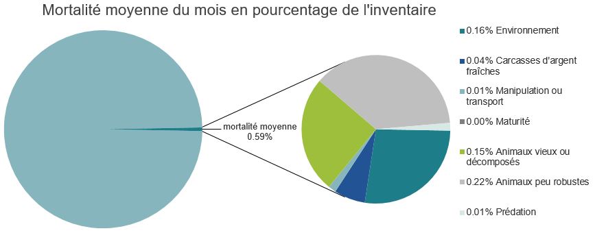 Mortalité des saumons atlantiques d'élevage dans les sites d'aquaculture C-B, Bras Esperanza

