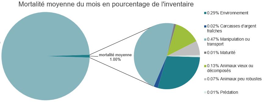 Mortalité des saumons atlantiques d'élevage dans les sites d'aquaculture C-B, Baie Nootka

