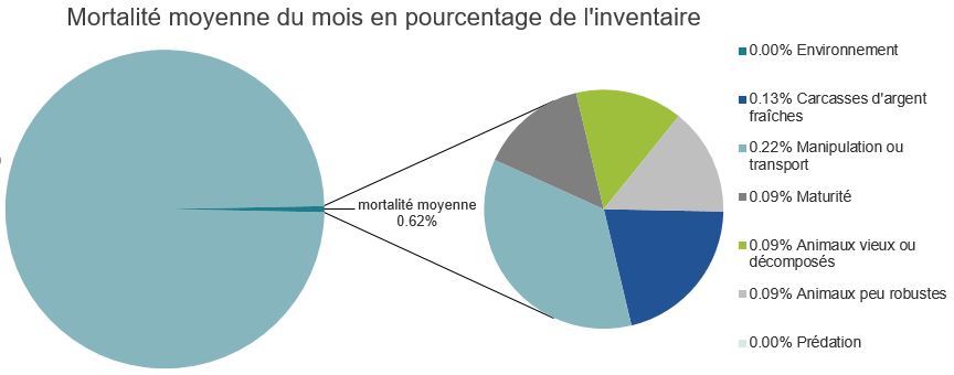 Mortalité des saumons atlantiques d'élevage dans les sites d'aquaculture C-B, Baie Quatsino
