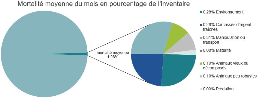 Mortalité des saumons atlantiques d'élevage dans les sites d'aquaculture C-B, Archipel Broughton
