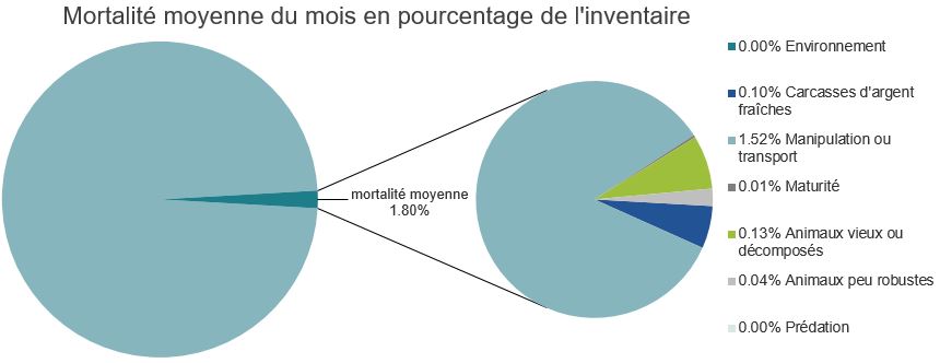 Mortalité des saumons atlantiques d'élevage dans les sites d'aquaculture C-B, Côte centrale

