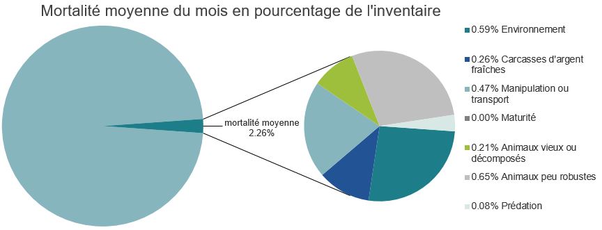 Mortalité des saumons atlantiques d'élevage dans les sites d'aquaculture C-B, Baie Clayoquot
