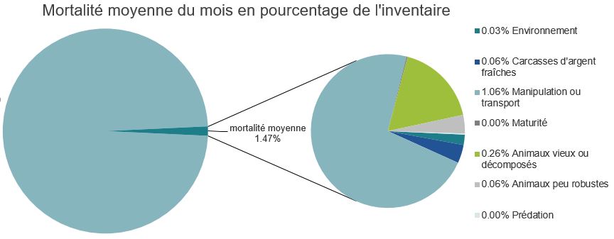 Mortalité des saumons atlantiques d'élevage dans les sites d'aquaculture C-B, Baie Nootka
