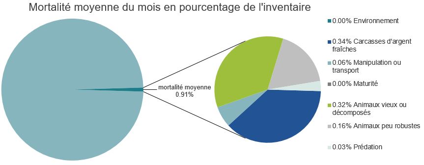 Mortalité des saumons pacifiques d'élevage dans les sites d'aquaculture C-B, Baie Clayoquot

