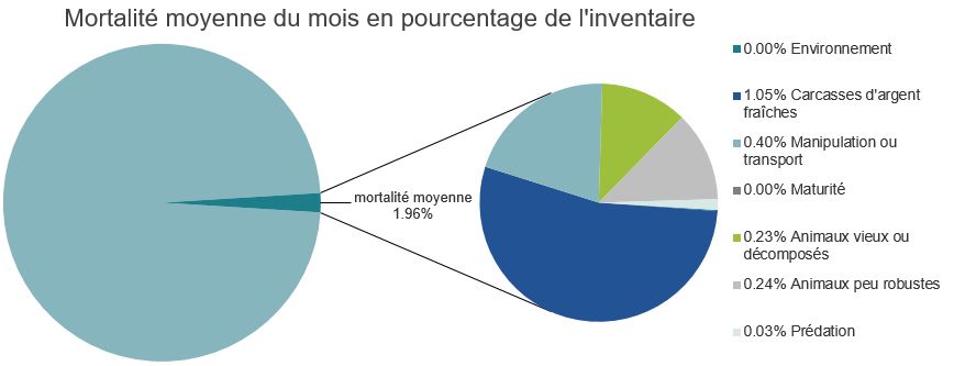 Mortalité des saumons alantiques d'élevage dans les sites d'aquaculture C-B, Port Hardy
