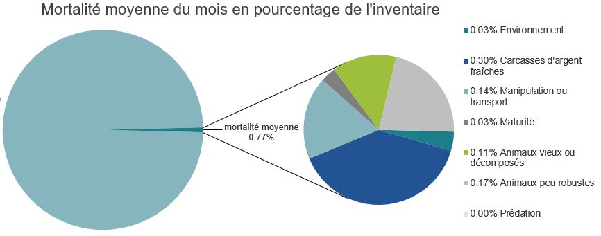 Mortalité des saumons atlantiques d'élevage dans les sites d'aquaculture C-B, Baie Quatsino
