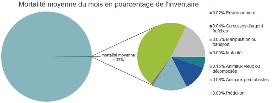 Mortalité des saumons atlantiques d'élevage dans les sites d'aquaculture C-B, Côte centrale
