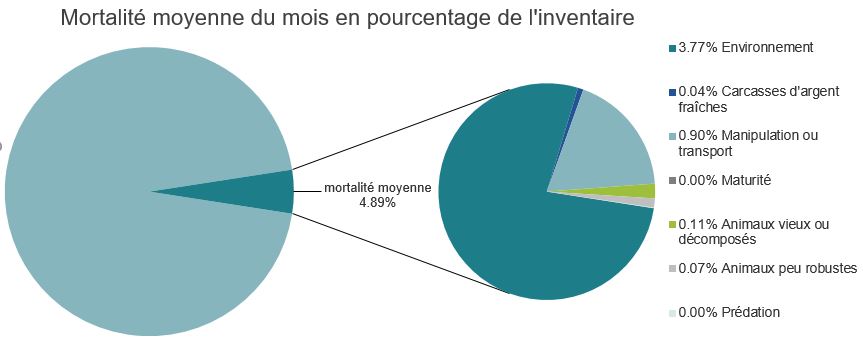 Mortalité des saumons atlantiques d'élevage dans les sites d'aquaculture C-B, Bras Esperanza
