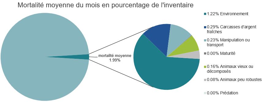 Mortalité des saumons atlantiques d'élevage dans les sites d'aquaculture C-B, Baie Nootka
