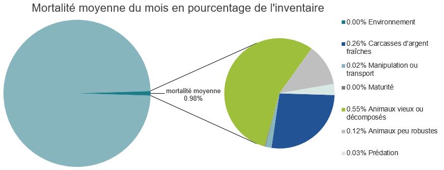 Mortalité des saumons pacifiques d'élevage dans les sites d'aquaculture C-B, Baie Clayoquot

