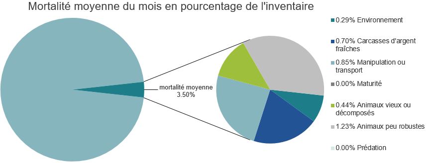 Mortalité des saumons alantiques d'élevage dans les sites d'aquaculture C-B, Port Hardy