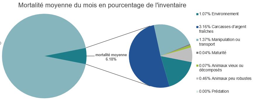 Mortalité des saumons atlantiques d'élevage dans les sites d'aquaculture C-B, Baie Quatsino
