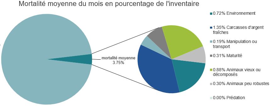 Mortalité des saumons atlantiques d'élevage dans les sites d'aquaculture C-B, Sunshine Coast
