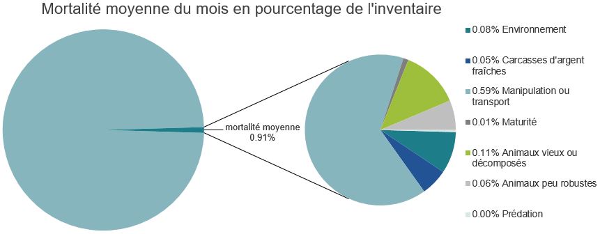 Mortalité des saumons atlantiques d'élevage dans les sites d'aquaculture C-B, Bras Esperanza
