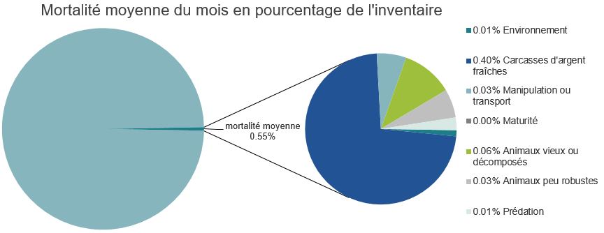 Mortalité des saumons atlantiques d'élevage dans les sites d'aquaculture C-B, Baie Nootka
