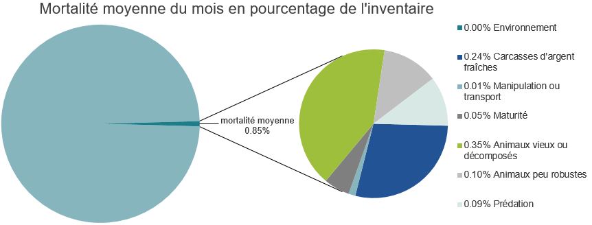 Mortalité des saumons pacifiques d'élevage dans les sites d'aquaculture C-B, Baie Clayoquot

