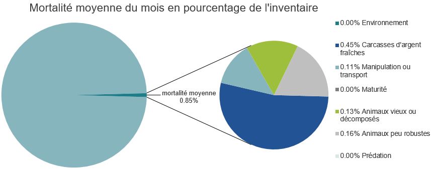 Mortalité des saumons atlantiques d'élevage dans les sites d'aquaculture C-B, Baie Quatsino